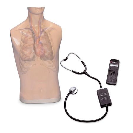 MANIQUI ENTRENADOR DE AUSCULTACION Y SMARTSCOPE Y SISTEMA DE AMPLIFICADOR ALTAVOZ LF01172 NASCO