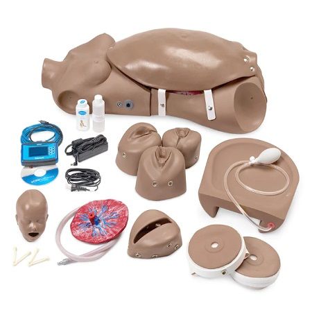 MANIQUI TORSO DE PARTO MATERNO Y NEONATAL GAUMARD NOELLE TONO DE PIEL MEDIO SB37714M NASCO
