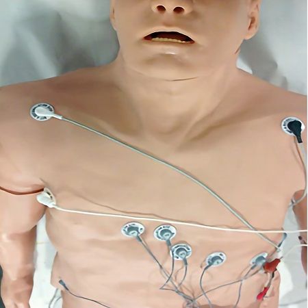 SIMULADOR DE ARRITMIA PHYSIO 12 DERIVACIONES CON SUPERPOSICION DE MANIQUI 10112001L NASCO