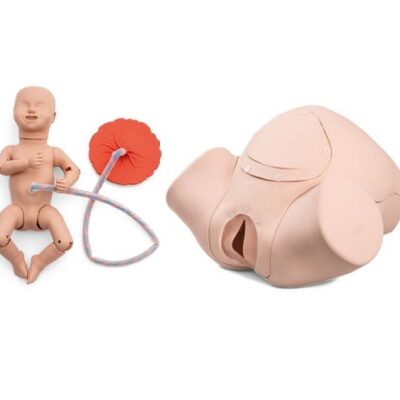 Maniquí obstétrico Simulador de parto 3BS-1022878 3B Scientific