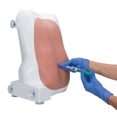 Entrenador de epidural e inyecciones espinales, piel clara 3B SFC1017891 [P61] 3b Scientific